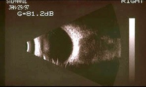 2YJB-16771.jpg