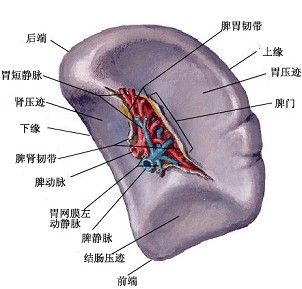 PPS-2927.jpg