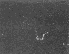 YZ332_1_16_83.gif
