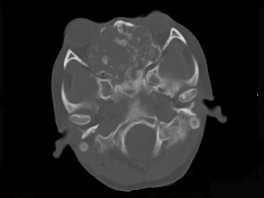 EBH-00091.jpg