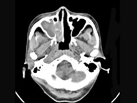 EBH-00102.jpg