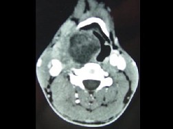 EBH-00943.jpg
