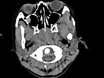 EBH-00963.jpg