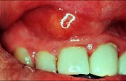 KN-0496.jpg