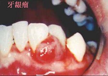 KN-0875.jpg