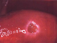 KN-1280.jpg