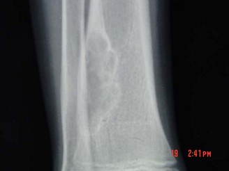 WXJ-23542.jpg