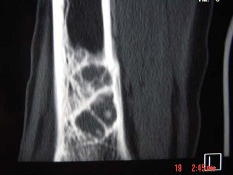 WXJ-23544.jpg
