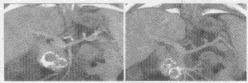 YZ91_201_17.gif